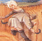 Die Bauern im Mittelalter